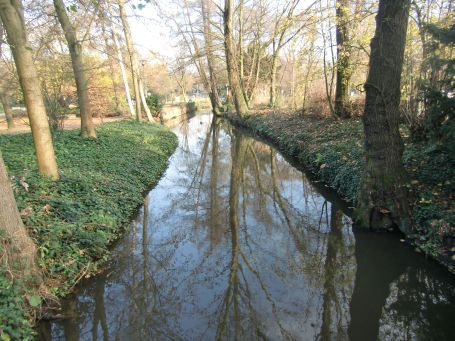 Neuss : Im Stadtbefestigungsgraben, auch Erftmühlengraben genannt, entdeckte ich 5 Nutrias.